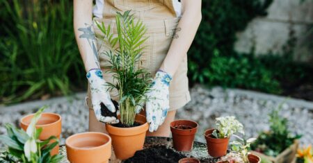 Como Montar Seu Primeiro Jardim: Do Vaso à Horta Urbana