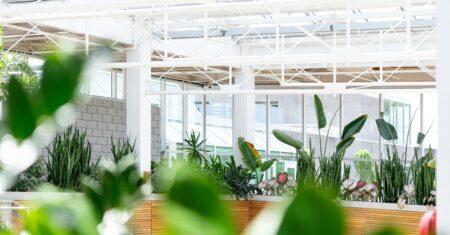 Jardins Verticais: Soluções Criativas para Espaços Reduzidos