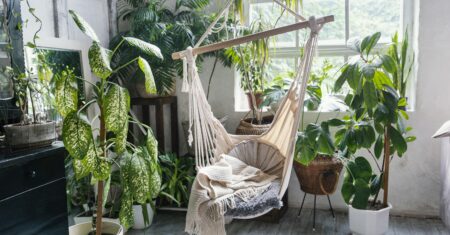 Como Cuidar das Plantas em Ambientes Internos: Guia simples